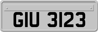 GIU3123