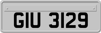 GIU3129