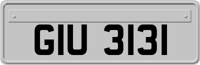 GIU3131