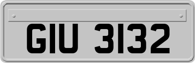 GIU3132