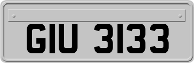 GIU3133
