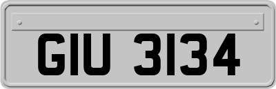 GIU3134