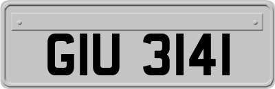 GIU3141