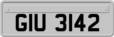 GIU3142