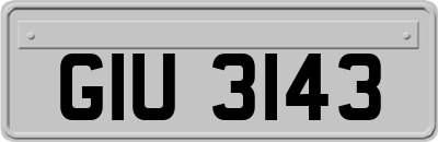GIU3143
