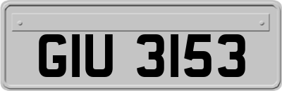 GIU3153