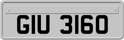 GIU3160