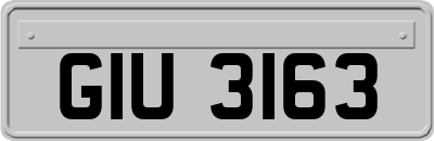 GIU3163