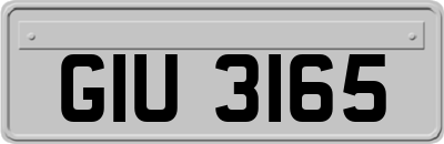 GIU3165