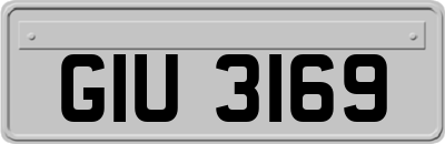 GIU3169