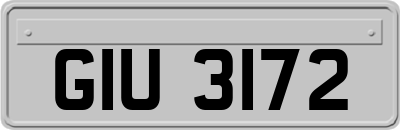 GIU3172