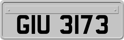 GIU3173