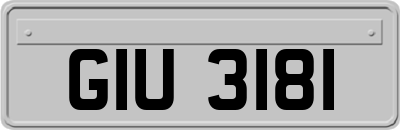 GIU3181