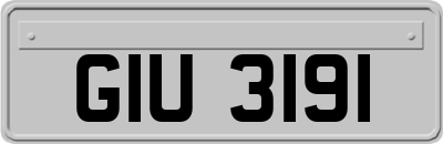 GIU3191