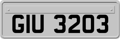 GIU3203