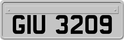 GIU3209