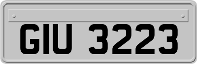 GIU3223