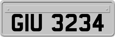 GIU3234