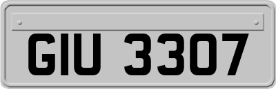 GIU3307