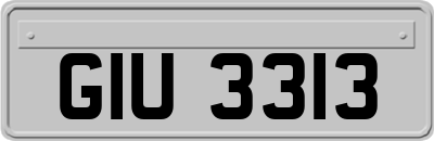 GIU3313