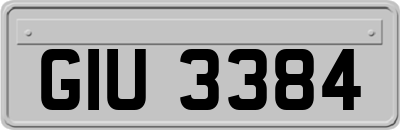 GIU3384