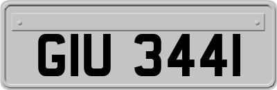GIU3441
