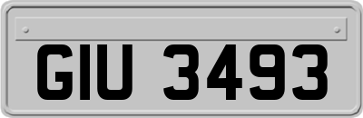 GIU3493