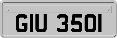 GIU3501