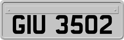 GIU3502