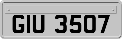 GIU3507