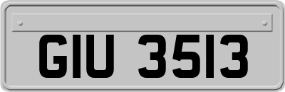 GIU3513