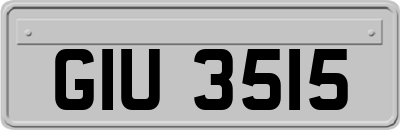 GIU3515