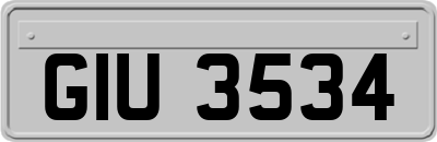 GIU3534
