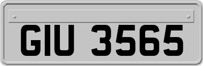 GIU3565