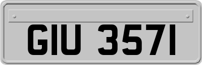 GIU3571