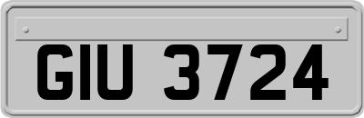 GIU3724