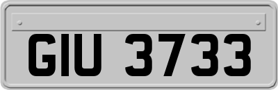 GIU3733