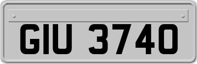 GIU3740