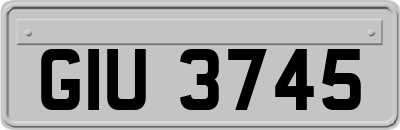 GIU3745