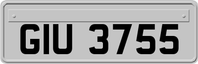 GIU3755