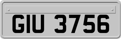 GIU3756