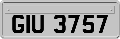 GIU3757