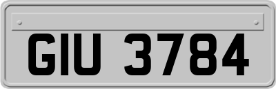 GIU3784