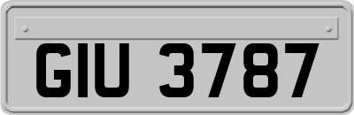 GIU3787