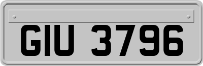 GIU3796