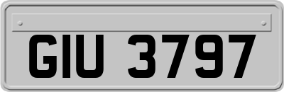 GIU3797
