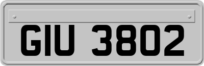 GIU3802