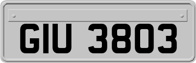 GIU3803
