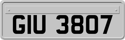 GIU3807