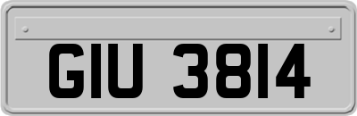 GIU3814